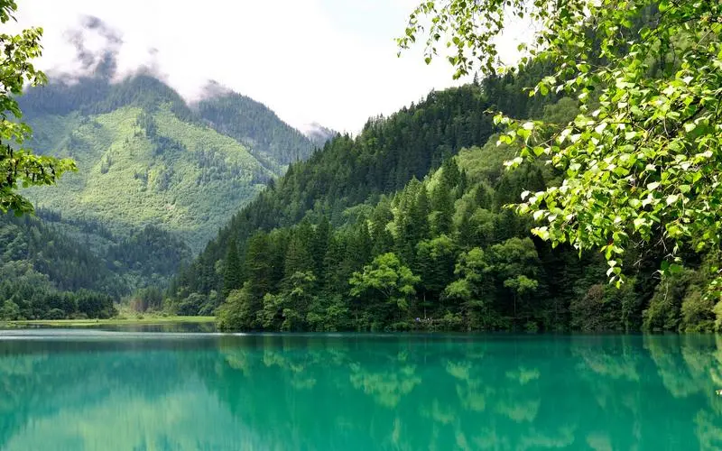 高性能高性能